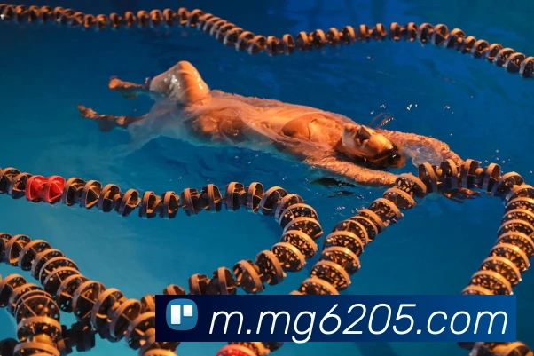 MG娱乐平台官网APP 高清赛事图